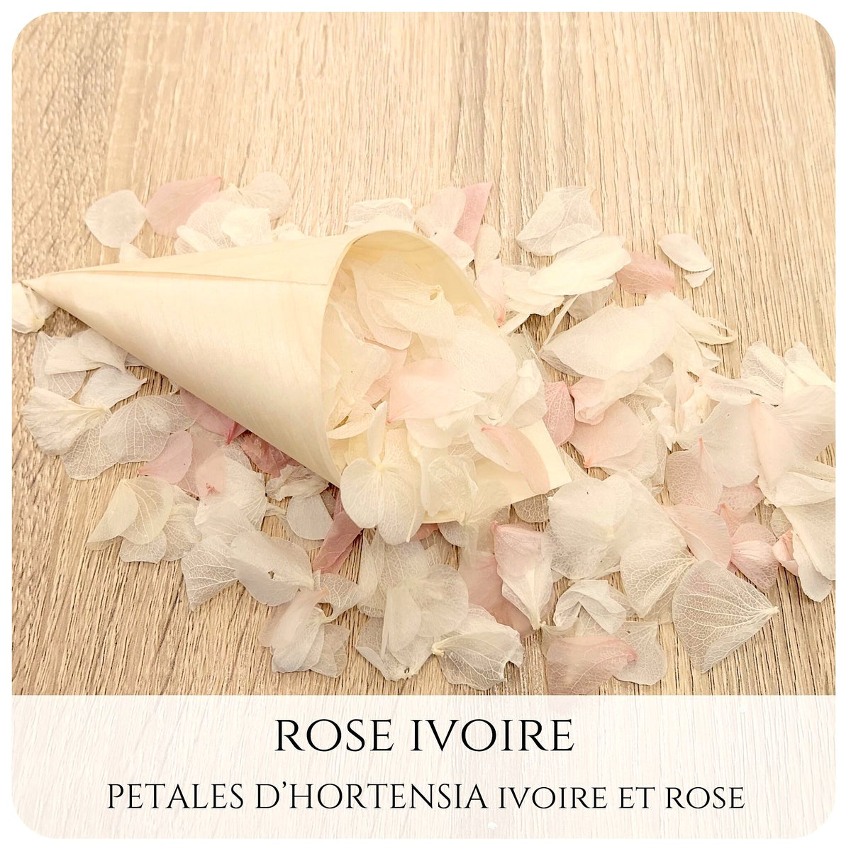 Pétales d'hortensia avec Cornet - Confettis de Mariage