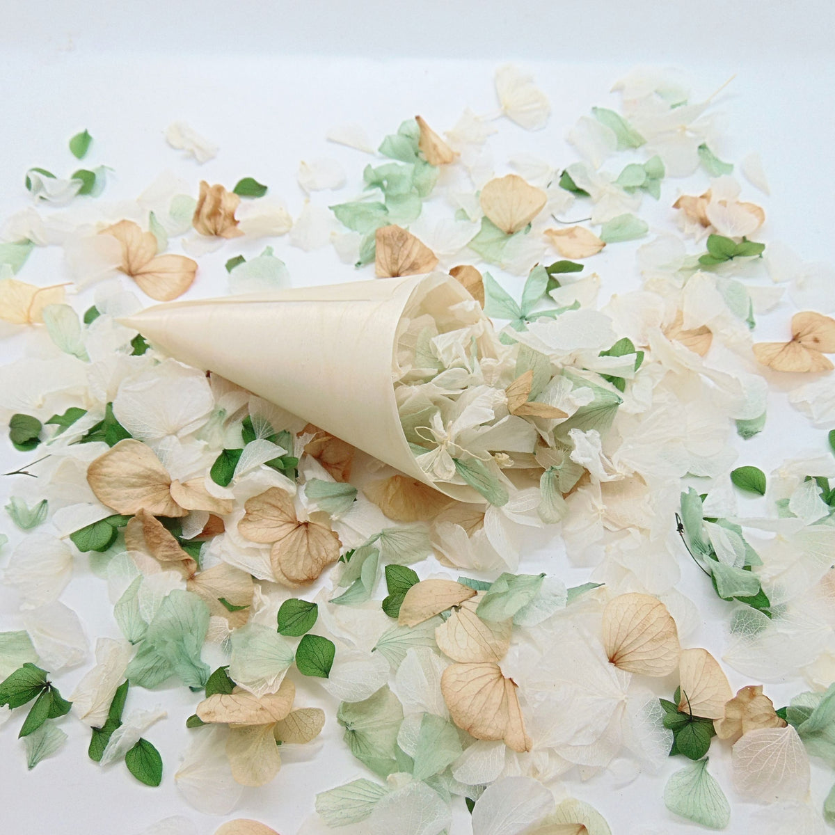 Glam - Pétales d'hortensia - Confettis de Fleurs mariage | Vert - Blanc - Beige