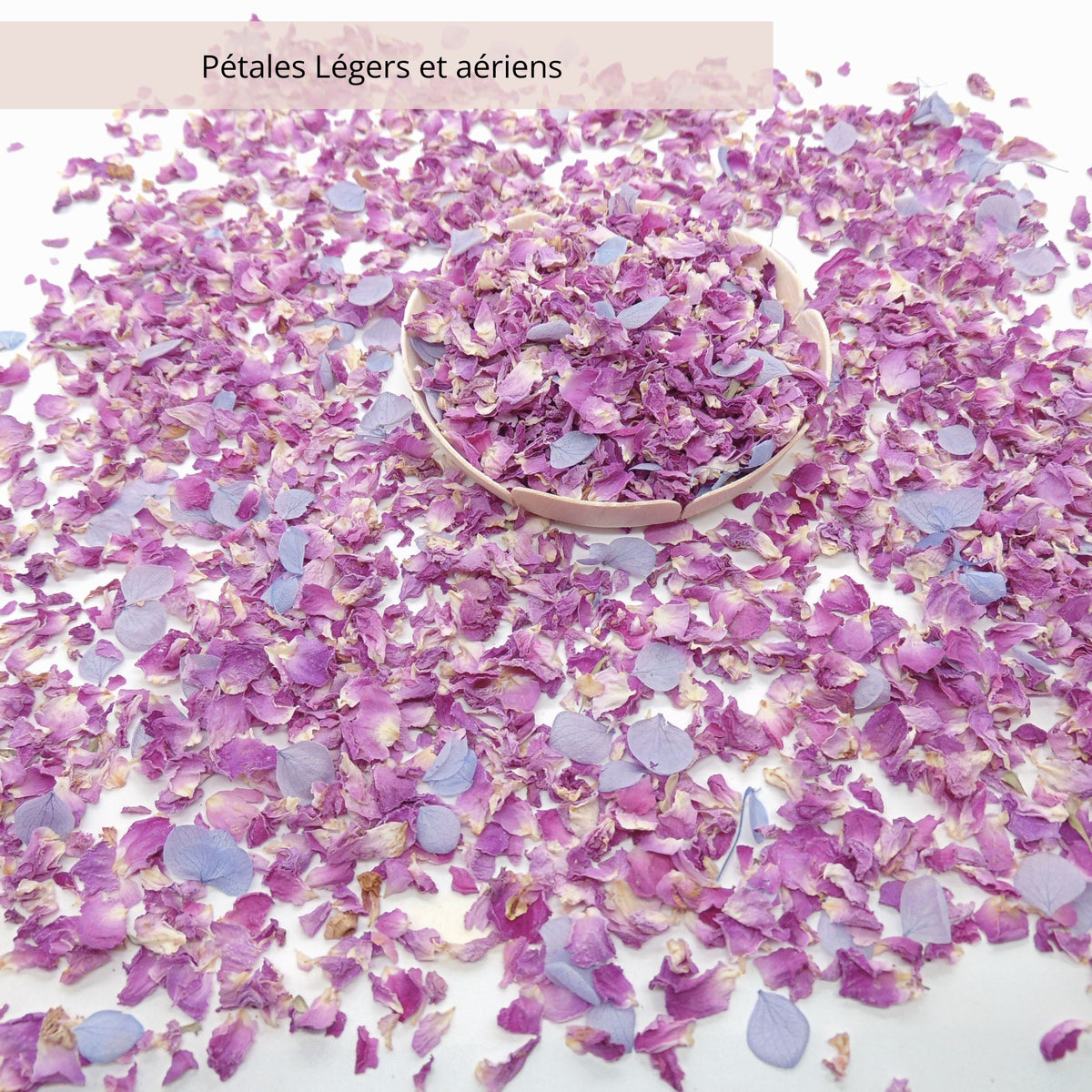 Blush - Confettis Fleurs Séchées Mariage