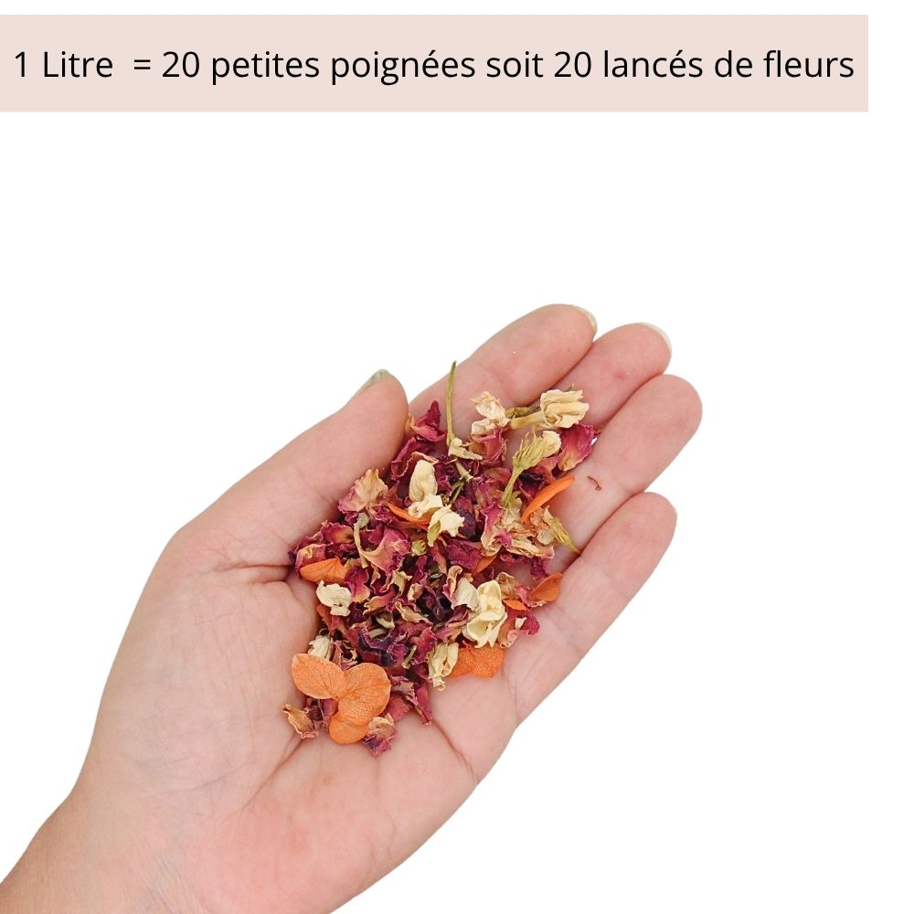 Florentine - Confettis de Fleurs Séchées Mariage Terracotta Rose