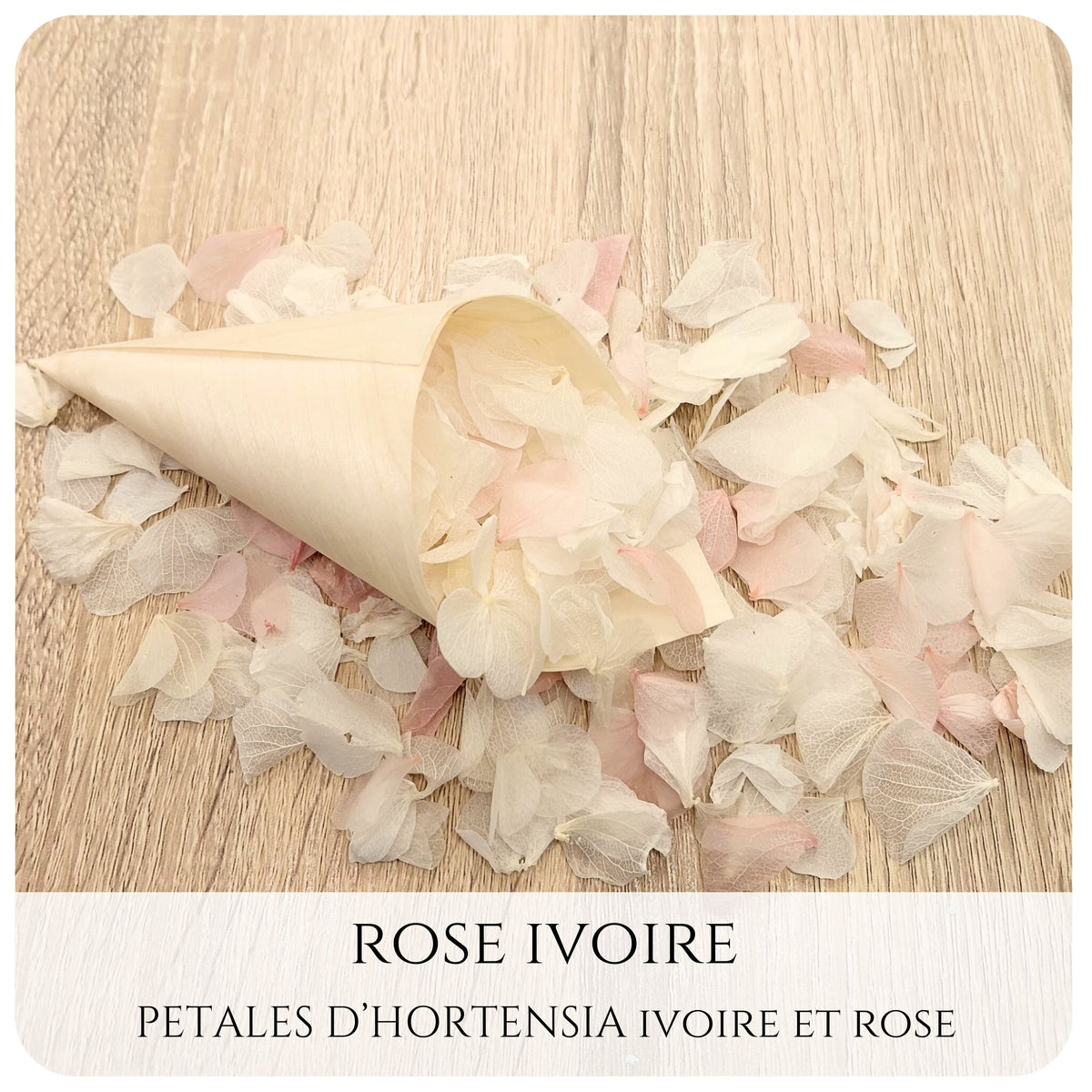 Pétales d'hortensia avec Cornet - Confettis de Mariage