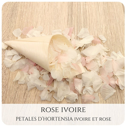 Pétales d'hortensia avec Cornet - Confettis de Mariage