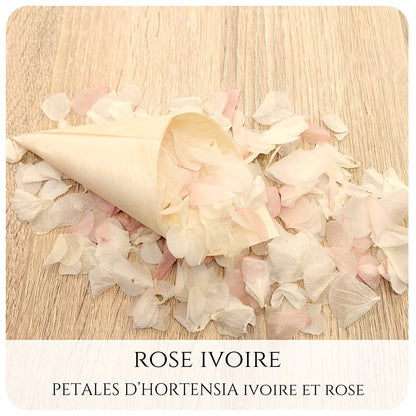 Pétales d'hortensia avec Cornet - Confettis de Mariage
