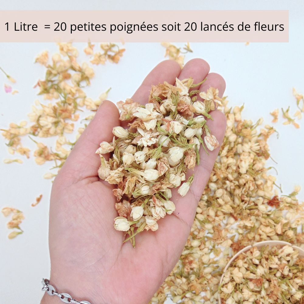Fleurs de Jasmin - Confettis Fleurs Séchées Mariage