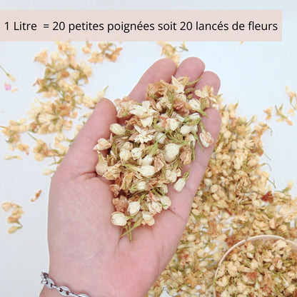 Fleurs de Jasmin - Confettis Fleurs Séchées Mariage