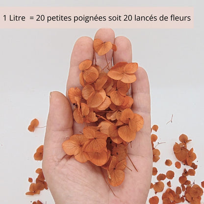 Petits Pétales d'hortensia terracotta - Confettis de Fleurs mariage