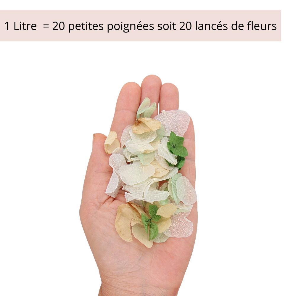 Glam - Pétales d'hortensia - Confettis de Fleurs mariage | Vert - Blanc - Beige