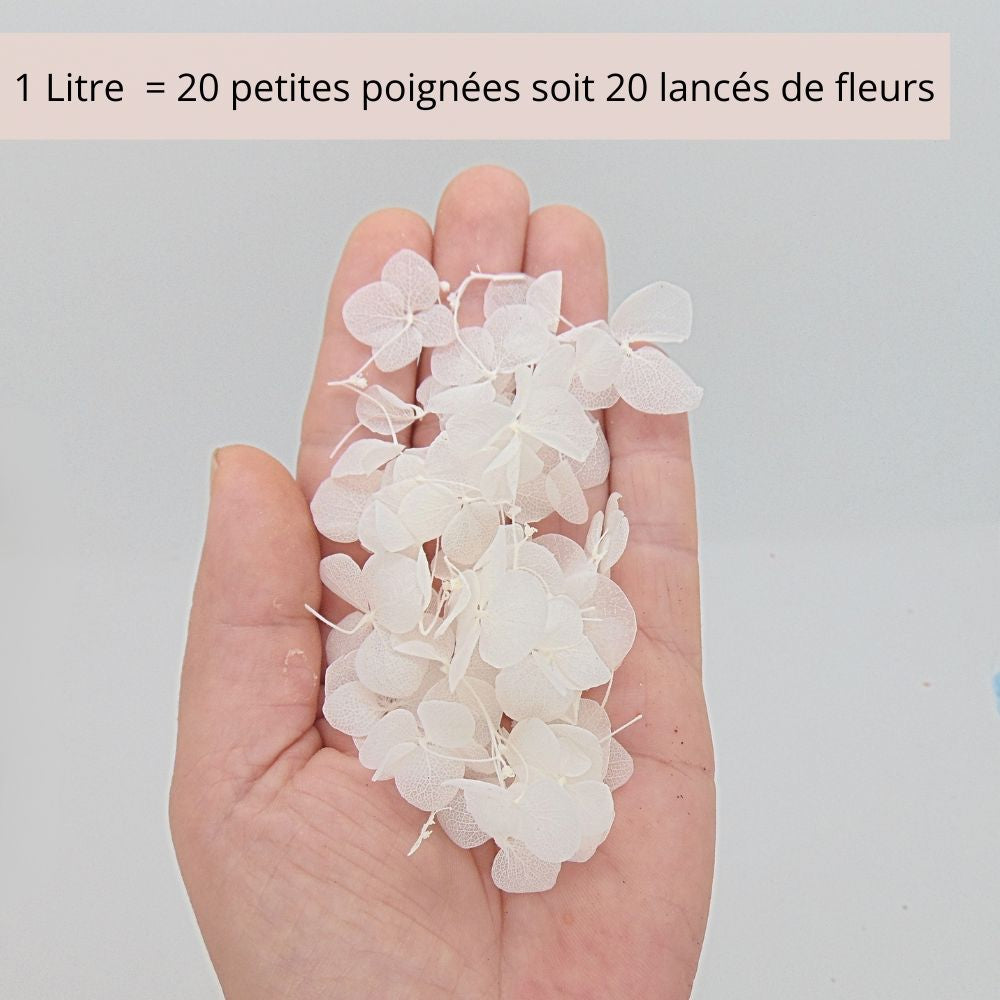 Petit pétales d'hortensia blanc - Confettis de Mariage