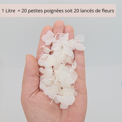 Petit pétales d'hortensia blanc - Confettis de Mariage