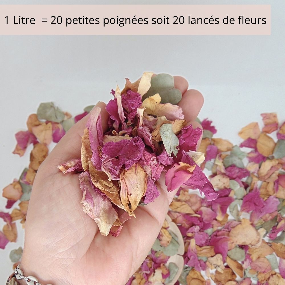 Rose Eucalyptus - Pétales de roses mauve Eucalyptus
