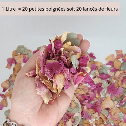 Rose Eucalyptus - Pétales de roses mauve Eucalyptus