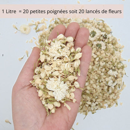 Bianca - Confettis Fleurs Séchées Blanc et Ivoire