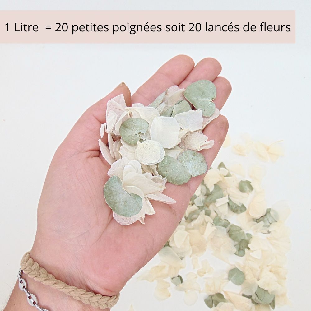 Sauge - Confettis de Fleurs Séchées Mariage