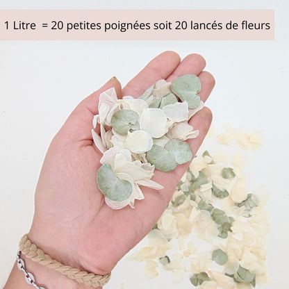 Sauge - Confettis de Fleurs Séchées Mariage