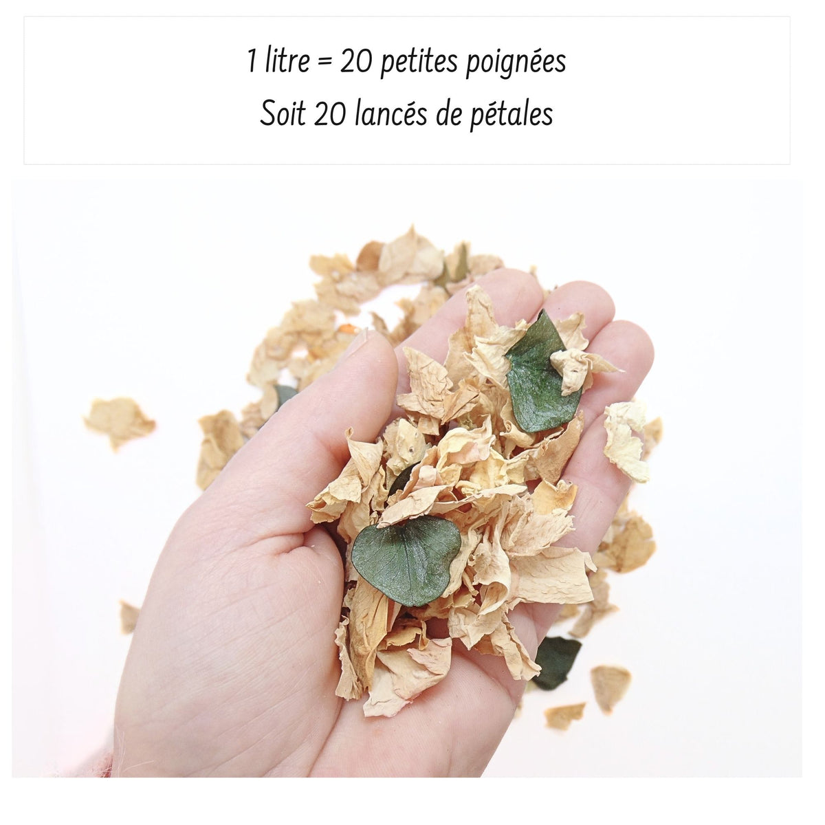 Ambre - Pétales de roses beige Eucalyptus
