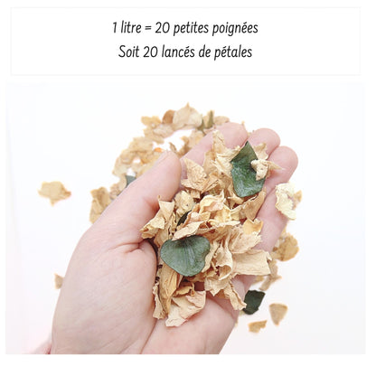 Ambre - Pétales de roses beige Eucalyptus