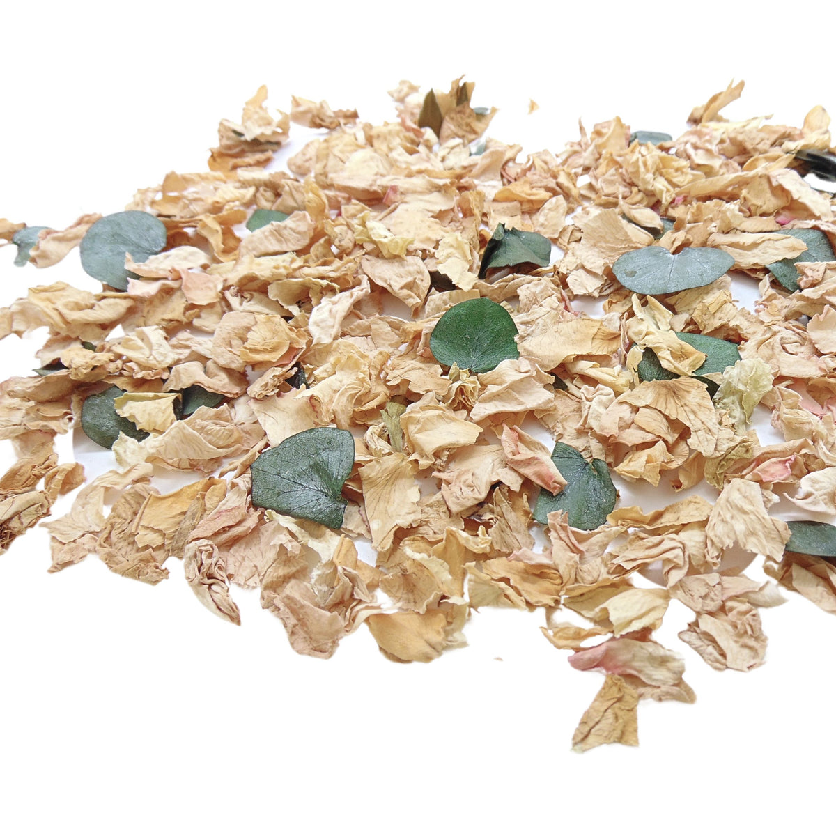 Ambre - Pétales de roses beige Eucalyptus