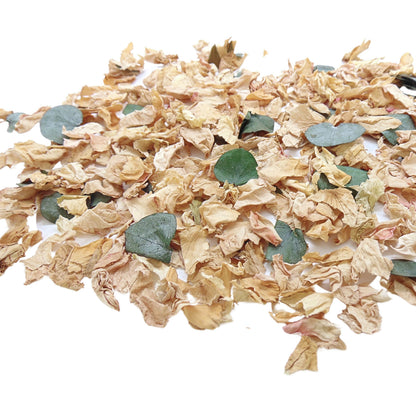 Ambre - Pétales de roses beige Eucalyptus