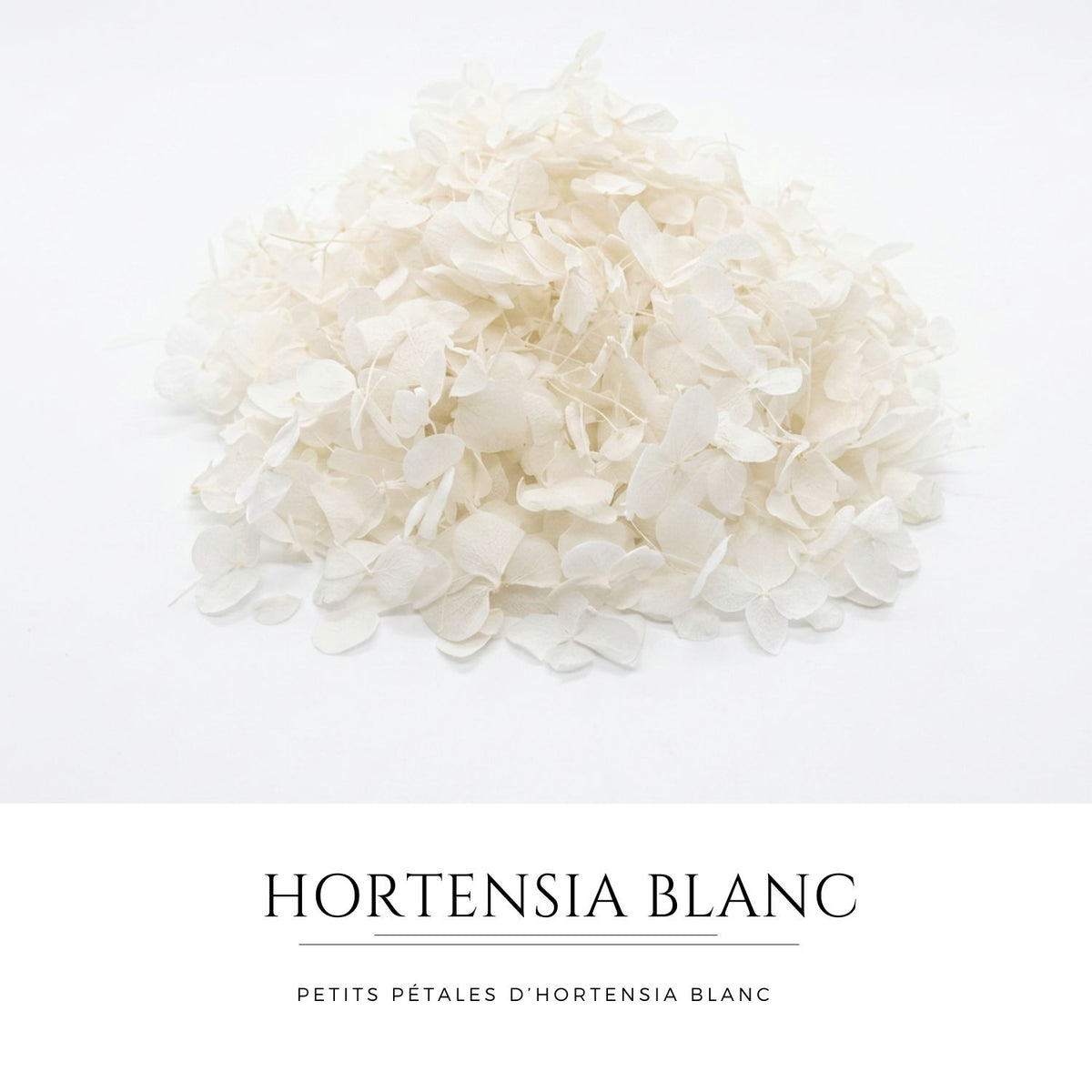 Petit pétales d'hortensia blanc - Confettis de Mariage