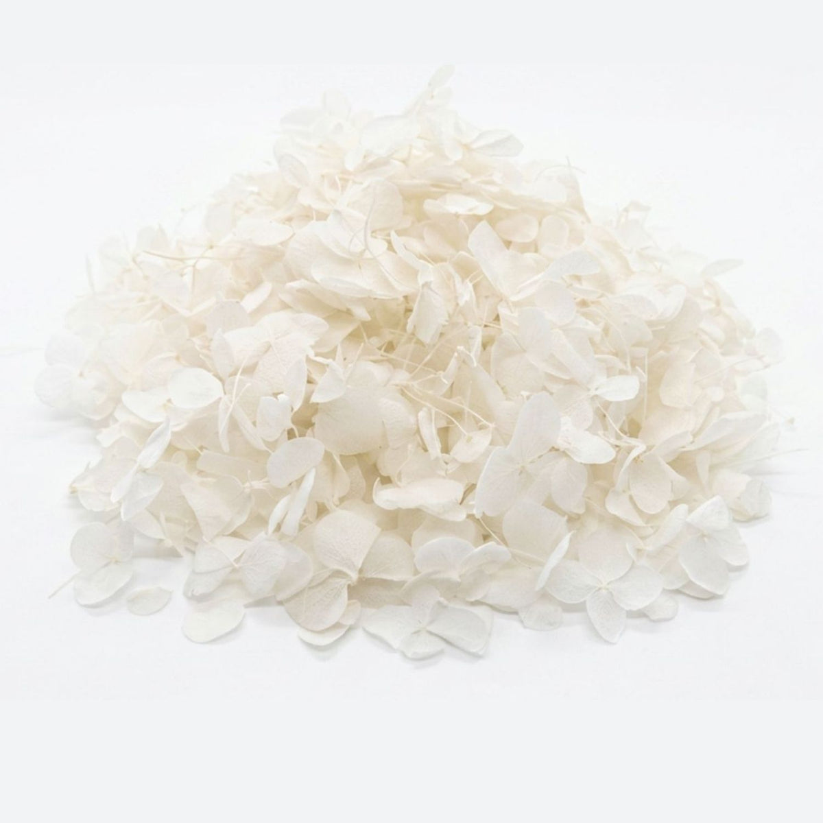 Petit pétales d'hortensia blanc - Confettis de Mariage