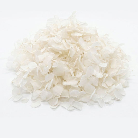 Petit pétales d'hortensia blanc - Confettis de Mariage