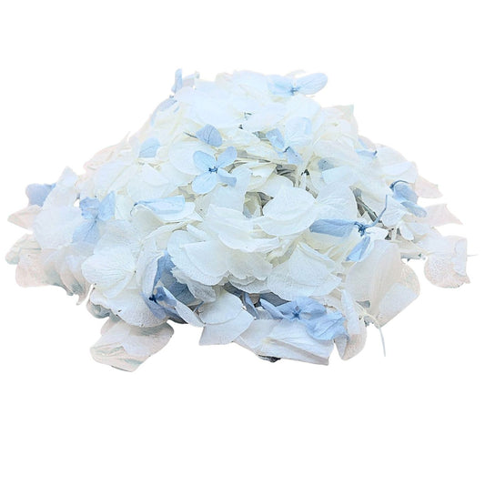 Azur - Confettis fleurs séchées Mariage