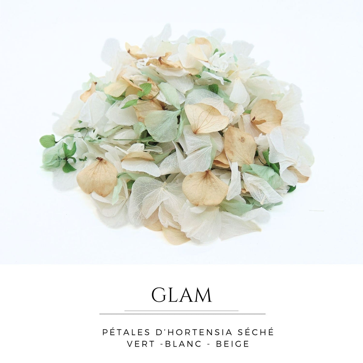 Glam - Pétales d'hortensia - Confettis de Fleurs mariage | Vert - Blanc - Beige
