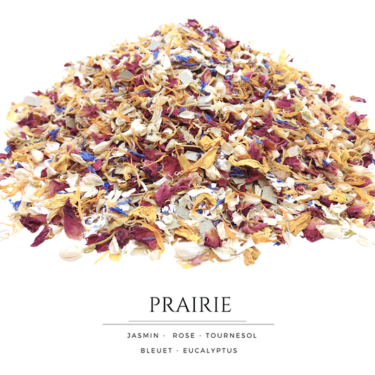 Prairie - Confettis Fleurs Séchées Mariage
