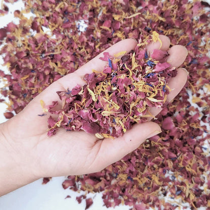 Eté - Confettis Fleurs Séchées Mariage