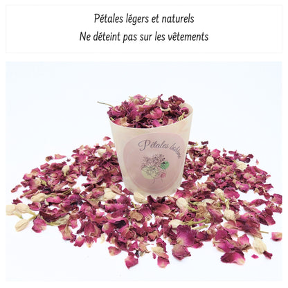 Romance - Confettis Fleurs Séchées Mariage