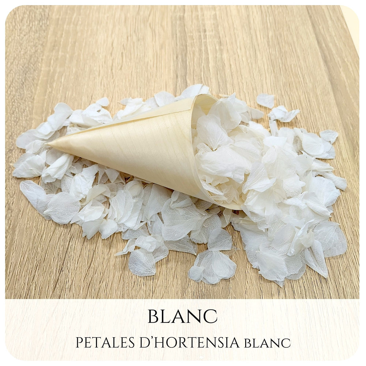 Pétales d'hortensia avec Cornet - Confettis de Mariage