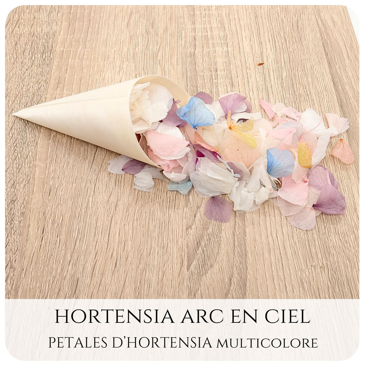 Pétales d'hortensia avec Cornet - Confettis de Mariage
