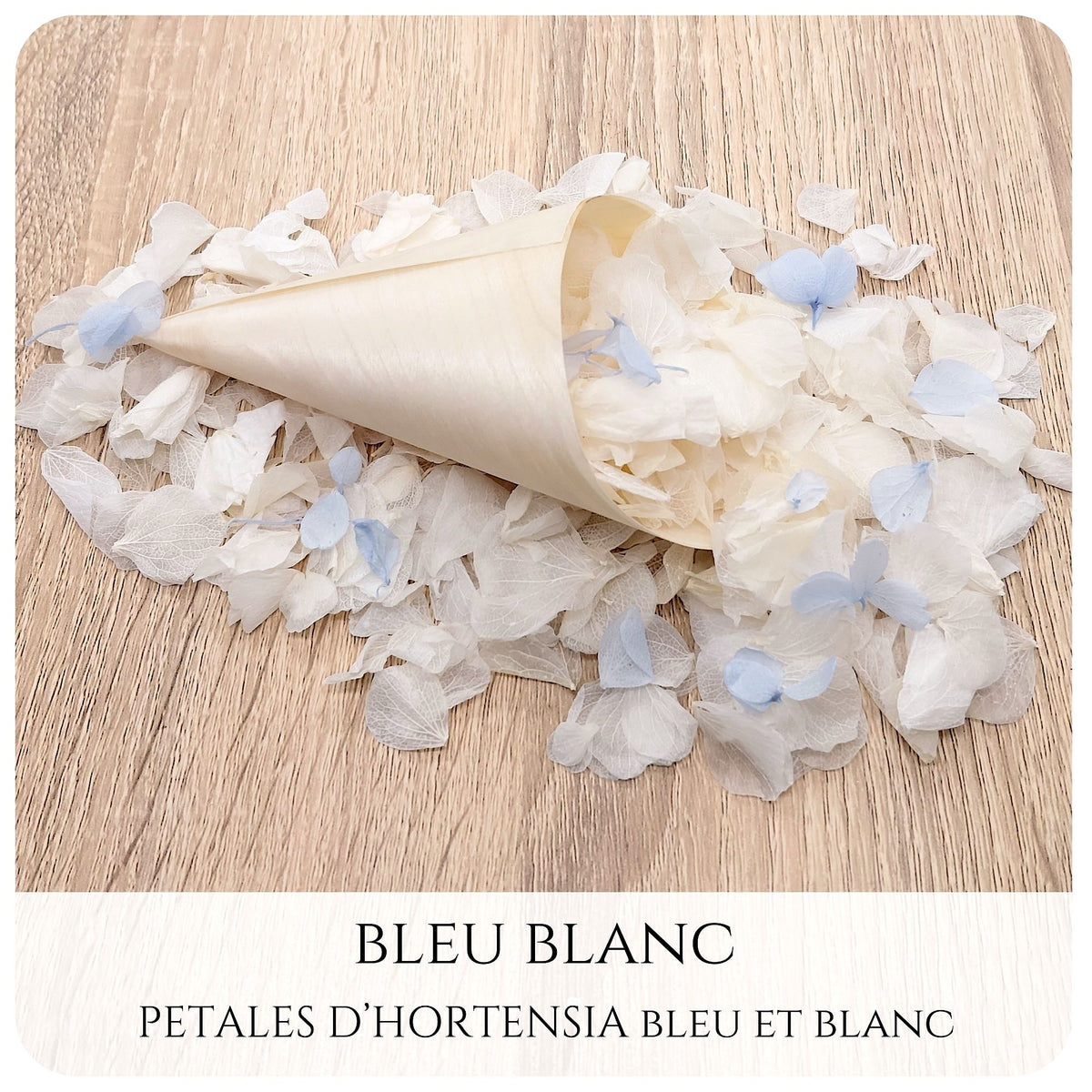 Pétales d'hortensia avec Cornet - Confettis de Mariage