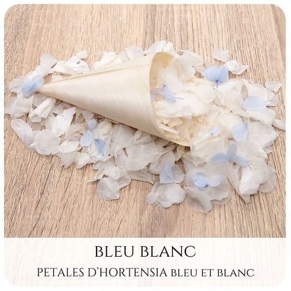 Pétales d'hortensia avec Cornet - Confettis de Mariage