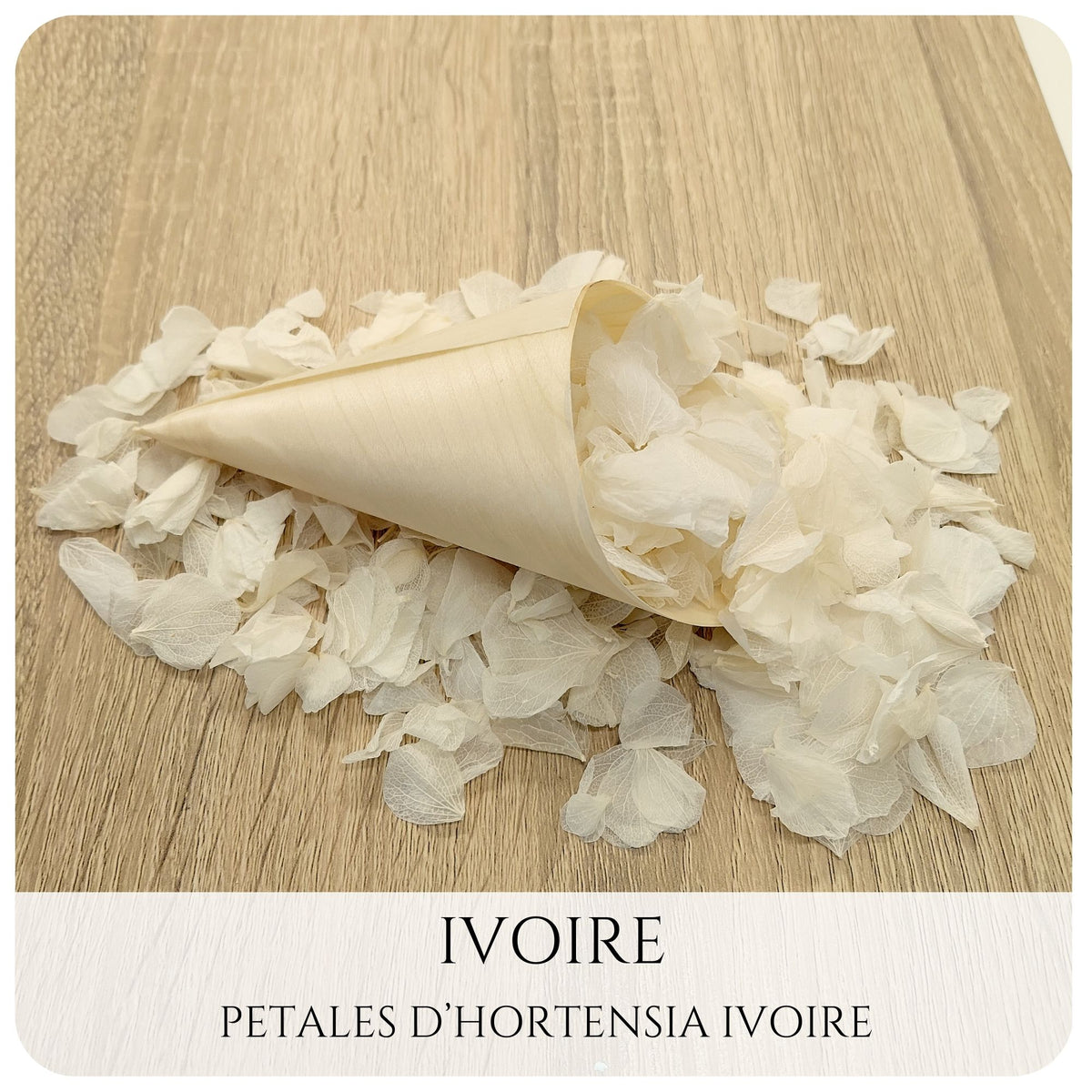 Pétales d'hortensia avec Cornet - Confettis de Mariage