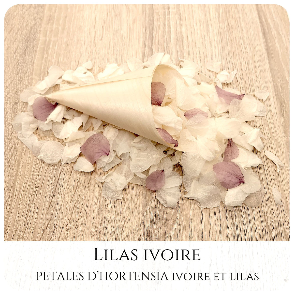 Pétales d'hortensia avec Cornet - Confettis de Mariage
