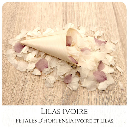 Pétales d'hortensia avec Cornet - Confettis de Mariage