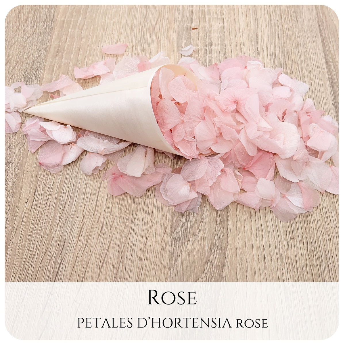 Pétales d'hortensia avec Cornet - Confettis de Mariage