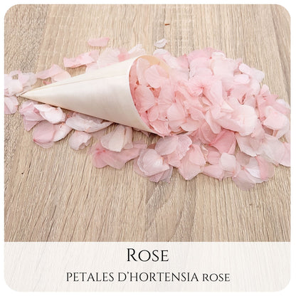 Pétales d'hortensia avec Cornet - Confettis de Mariage