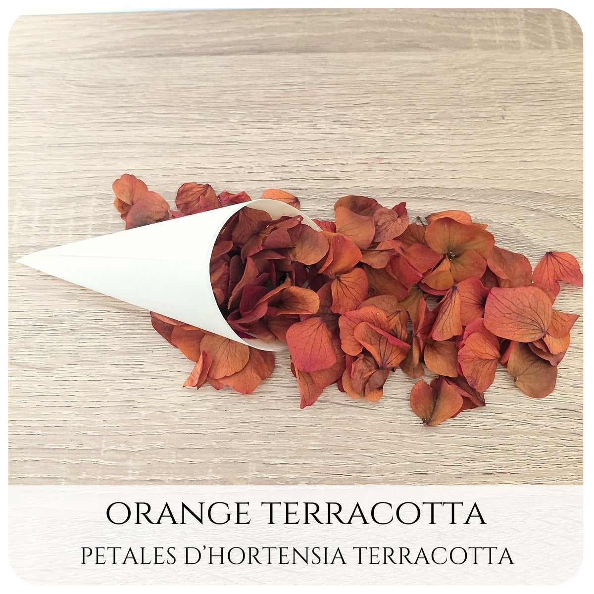 Pétales d'hortensia avec Cornet - Confettis de Mariage
