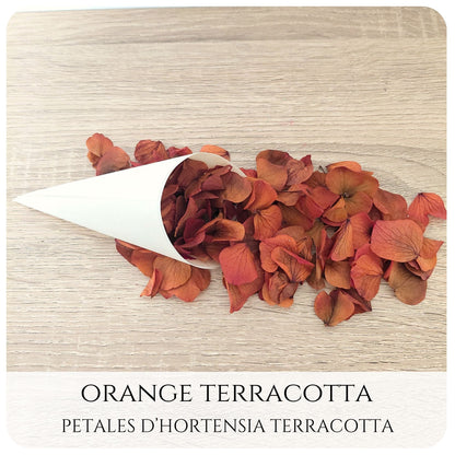 Pétales d'hortensia avec Cornet - Confettis de Mariage