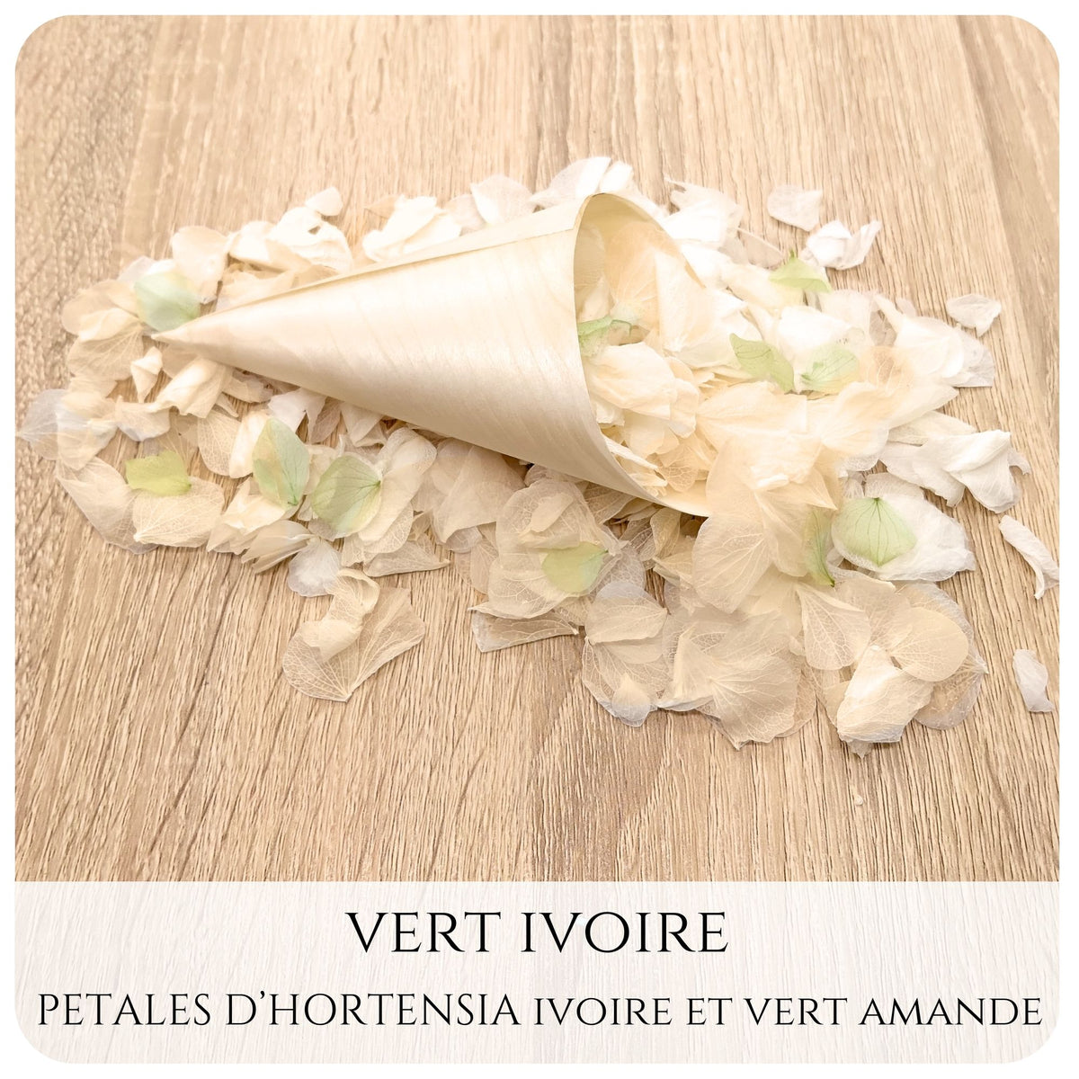 Pétales d'hortensia avec Cornet - Confettis de Mariage