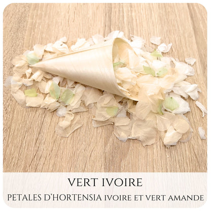 Pétales d'hortensia avec Cornet - Confettis de Mariage