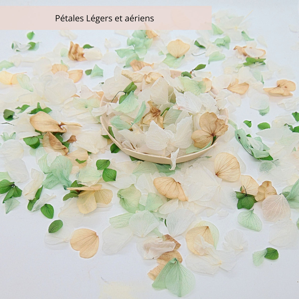 Glam - Pétales d'hortensia - Confettis de Fleurs mariage | Vert - Blanc - Beige