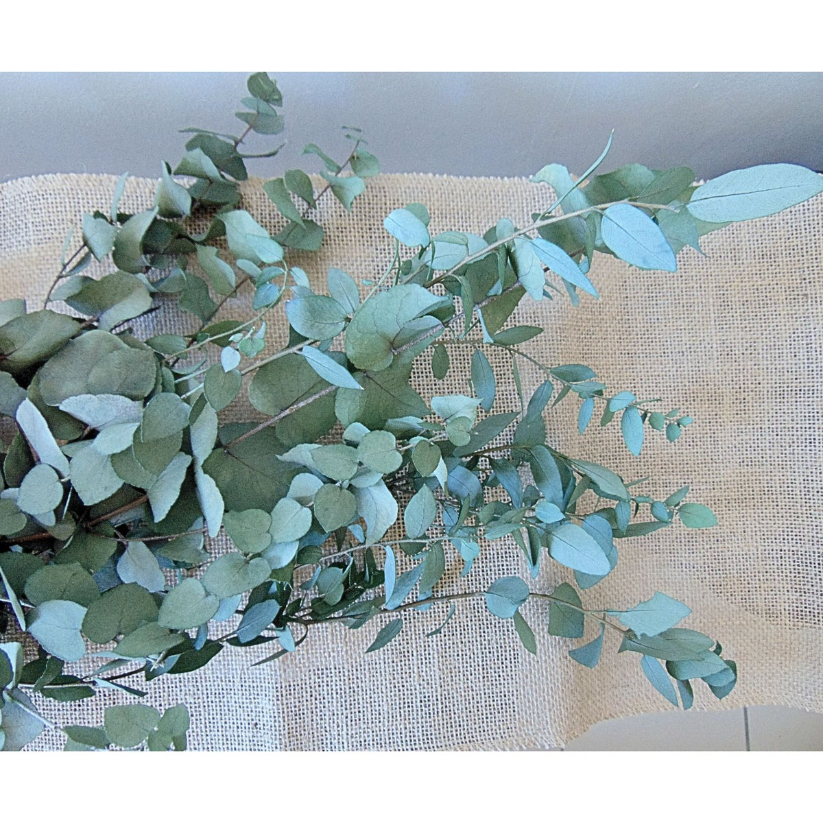 Bouquet Eucalyptus stabilisé Stuartiana Vert