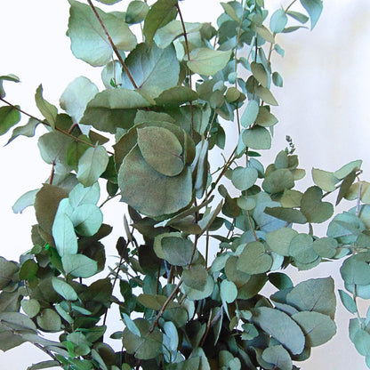 Bouquet Eucalyptus stabilisé Stuartiana Vert