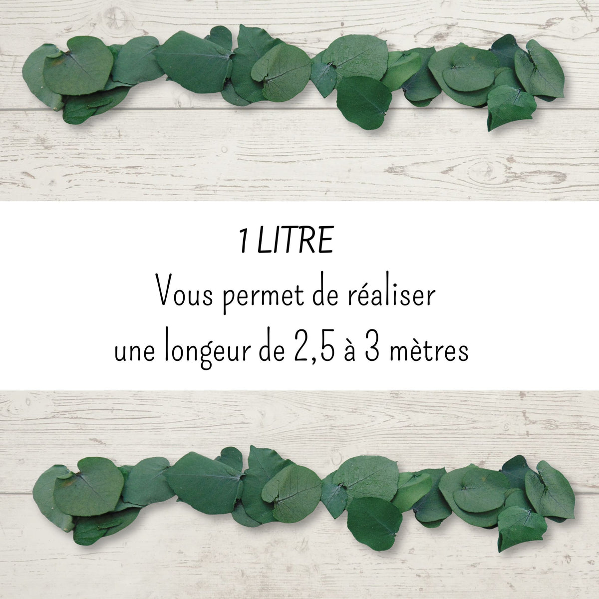 Feuille d'Eucalyptus - Décoration de Table Mariage