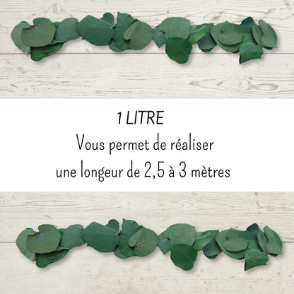 Feuille d'Eucalyptus - Décoration de Table Mariage