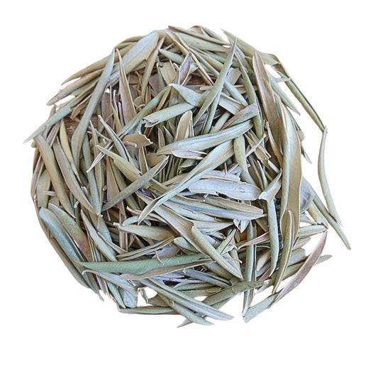 Olivier - Feuilles d'olivier Séchées Mariage
