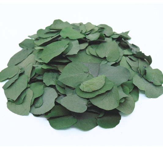 Feuille d'Eucalyptus - Décoration de Table Mariage